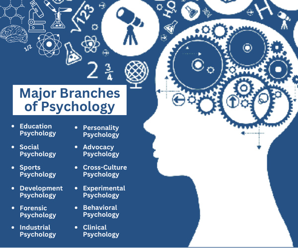 branches of psychology